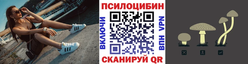 Галлюциногенные грибы GOLDEN TEACHER  mega зеркало  Бабаево  купить наркотики цена 