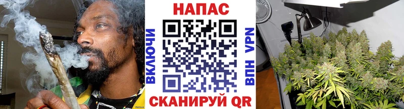 наркота  блэк спрут зеркало  Конопля сатива  Бабаево 